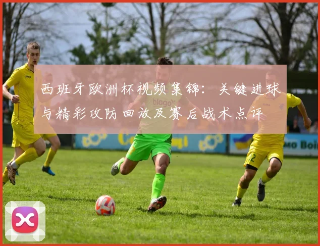 西班牙欧洲杯视频集锦：关键进球与精彩攻防回放及赛后战术点评
