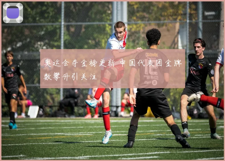 奥运会夺金榜更新 中国代表团金牌数攀升引关注